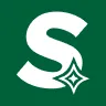 Sensity*'s icon