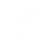 Clrp Dev's icon