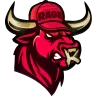Ragecityrp's icon