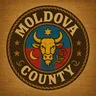 Moldova County's icon