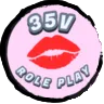 35village-rp's icon