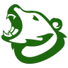 Dhsrp's icon