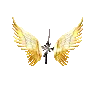 Fancy Fy's icon