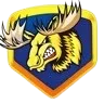Strive Rp's icon