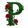 Passion Rp's icon