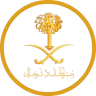 سيرفر منطقة's icon