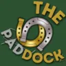 The Paddock's icon