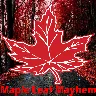 Maple Leaf's icon