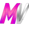 Miami Vice's icon