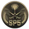 Sp5 مود's icon