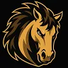 Rodeo's icon