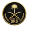 Sk5 مود's icon