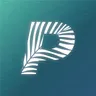 Palmito Rp's icon
