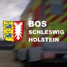Bos Schleswig's icon
