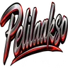 Pelilaakso 3.0's icon