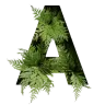 Aftermath's icon